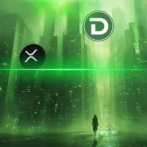 DTX Presale Attracts Polygon & Ripple Investors, Expected to Become Leading Hybrid Exchange for Crypto Entrants