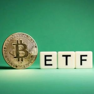 Bitcoin ETF Holdings of Wealth Management Firms to Increase: Bitwise CEO