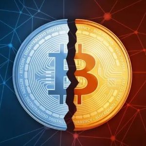 Bitcoin Latest Halving Creates Record-Breaking Blocks