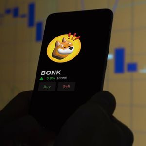 Investors Fear The Worst On BONK And FLOKI Amid Market Crash; Borroe Finance ($ROE) Presale Shows Better Appeal