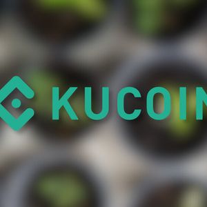 Binance and KuCoin Secure Registration With Indian FIU