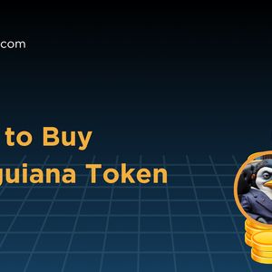 How to Buy Penguiana Token – $PENGU: A Trending Meme Coin on Solana with Real Utility