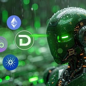 Toncoin, DTX, and Cardano Are The Best Coins To Accumulate Before The Bull Run
