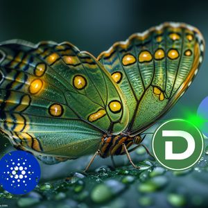 Best Exchange Coins To Watch in the Summer Months of 2024 Thanks to Their Growth Potential