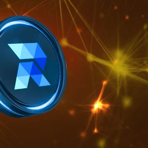COMPARISON: Lido DAO, Uniswap, and RCOF Endure Crypto Market Crash, 3 Key Reasons Why They Will Go Higher