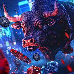 Watch Your Wallet Grow: Altcoins That Could Skyrocket In The Bull Run