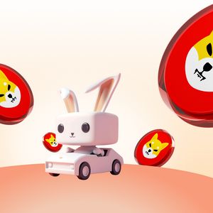 SHIB and Pepe Holders Jump on Raboo’s Moonwagon Poised To Place Top 20 This Year!