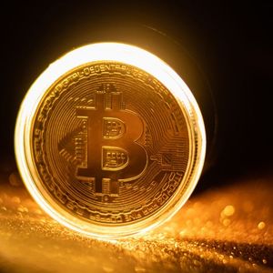 Institutional Investors Stick with Bitcoin ETFs Despite Market Downturn in Q2