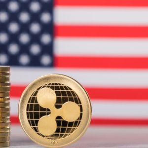 Ripple Lab’s Legal Saga: SEC Insider Hints at Bold Appeal Strategy