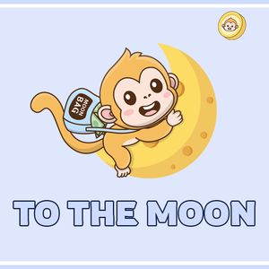 $1 by 2025? Why MoonBag’s Ambition Could Be the Next Big Thing, Along with Success Stories of DogDump and PlayDoge