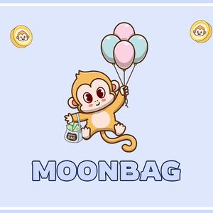 BONE’s Layer 2 Solution or Bonk’s Rise: Why MoonBag is the World’s Best Crypto Presale with 0% Tax Policy