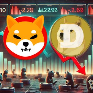 Memecoin SHIB and DOGEWHAT Lose Traders and Holders, While DIGI Attracts Investors and Analysts