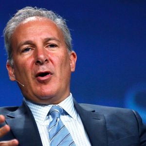 Peter Schiff and Peter Brandt Clash Over Price Action Bitcoin Turmoil