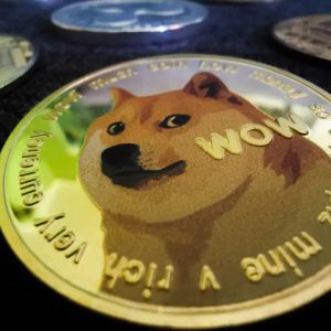 Dogecoin Reveals Project Sakura For Sustainable Development