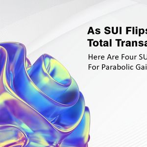 As SUI Flips Solana In Total Transactions, Here Are Four SUI Tokens Poised For Parabolic Gains