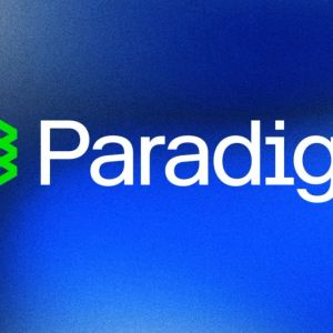 Paradigm Dives into the Layer 2 Ecosystem with $20M Investment