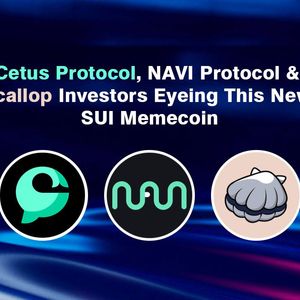 Cetus Protocol, NAVI Protocol, and Scallop Investors Flock to Suirum, The New SUI Meme Coin