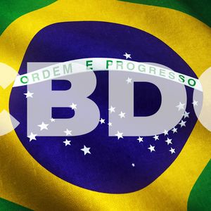 Brazil’s Central Bank Digital Currency Unveils Drex Project