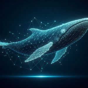 Crypto Whale Activity Rises for Dogecoin, Solana, and RCOF, What’s Driving this Spike?