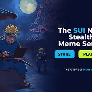 Reasons Why Experts Believe Suiruto Could Be the Next 100X Meme Coin On SUI Network