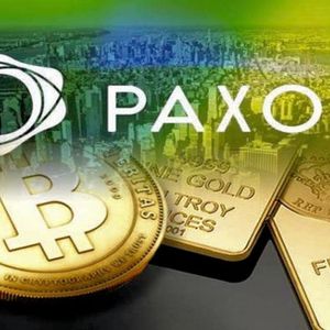 Paxos Joins Forces with Stellar To Boost Stablecoins and XLM