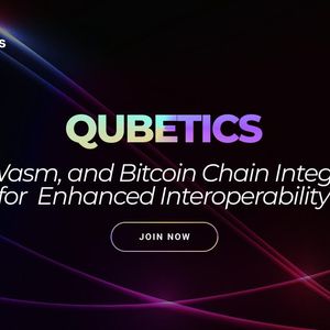 Invest $9.8K in Qubetics Now to Potentially Gain $5.1M While Cardano and Immutable X Shape the Future of Crypto