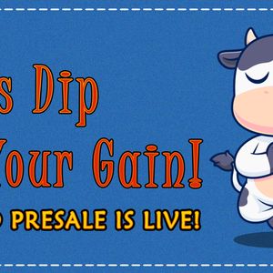 Missed Dogs’ Early Days? Join the ‘Buy The Dips’ Movement with This New Ongoing Meme Coin Presale for Massive Gains