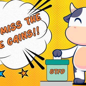 Invest in BTFD Coin’s Presale Now if You’ve Lost Your Chance with Baby Doge Coin’s ICO