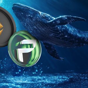 Ethereum Whales Quietly Accumulate An Altcoin Predicted To Outpace Shiba Inu By January 2025