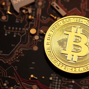 DOGE Decline Paves the Way for Best Crypto Presale! Turn $100 Into $2,500 with Top 5 Coins in 2025!