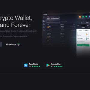 Is NOW Wallet Safe to Use in 2025? A Comprehensive Review