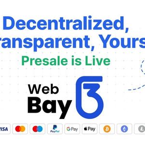 Web3Bay Approaches $1 Million Presale as Dogecoin and Stellar Prices Show Promise for Q1 2025