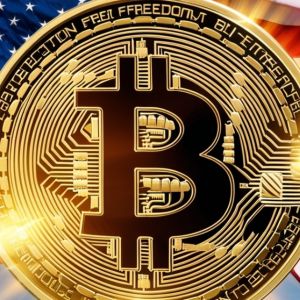 Americans Against Strategic Bitcoin Reserve, Poll Show