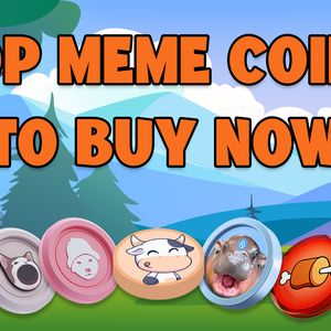 4 Best Cryptos to Hold Long Term: BTFD Coin’s Presale Surge to $6.33M While SHIB and More Meme Coins Go Viral