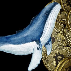Bitcoin Whale Snaps Up $200M BTC as Market Rebounds, BlackRock Boosts Holdings