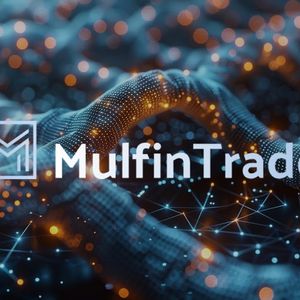 MulfinTrade: Flexibility and efficiency