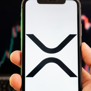 XRP Ledger Activity Drops After Strong Start to 2025