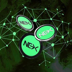 Mind of PEPE Set to Launch Tomorrow But This One Presale is Gaining Momentum in Stage 17