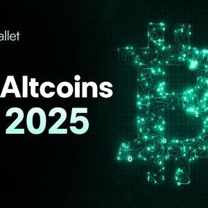 Top Crypto Coins to Invest in: Cold Wallet, Stellar, Ondo, Kaspa Are Gaining Momentum Fast