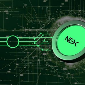 BONK Pumps 2% in 24 Hours As the Altcoin Market Plummets, But Nexchain Gains Presale Momentum