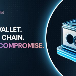 Explore the Best Crypto to Invest In: Cold Wallet, XRP, SEI, Solana, and Kaspa Show the Way