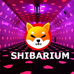 Shiba Inu Community Educated on Shibarium Importance