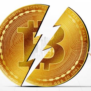 Bitcoin Halving News; XRP Price Prediction & Why DeSoc Could Top The Charts In 2025