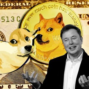 Why DeSoc Could Overtake Dogecoin & Shiba Inu in 2026