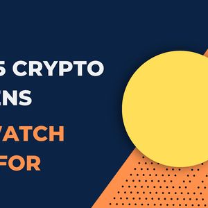 5 Crypto Assets You Should Own in 2025: Ripple, DeSoc, Solana, Cardano, and AVAX