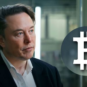 BTC Community Wants Elon Musk to Integrate Bitcoin Lightning Payments, Poll Says