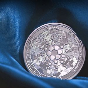 Cardano's Fundamental Metric Is At ATH, Here's How It Can Affect ADA
