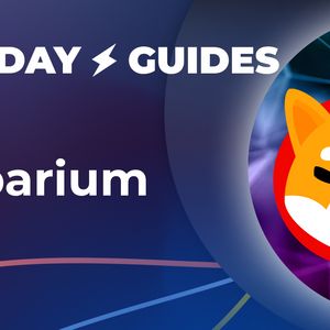 What Is Shibarium, and What Does It Mean for SHIB: Guide