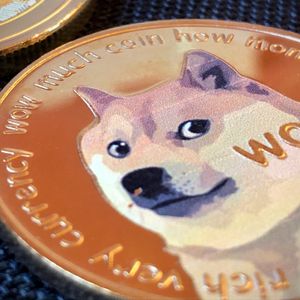 235.4 Dogecoin Moved by Top-20 DOGE Whales As Elon Musk Made His Crypto Statement