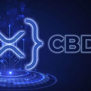 Ripple Works On Private XRP Ledger For CBDC, Says Ex-Executive